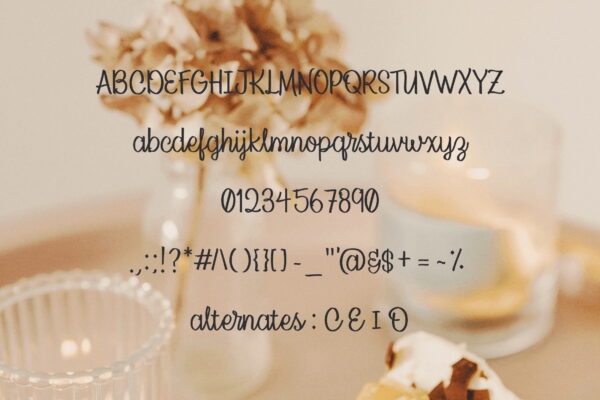 Serendipity Script - Image 7